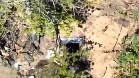 Dropping Shells into Russian Trenches