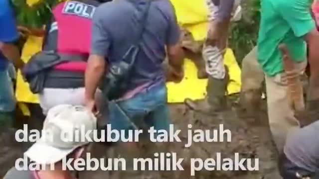 Tak terima dituduh mencuri durian, seorang warga nekat membunuh rekannya....