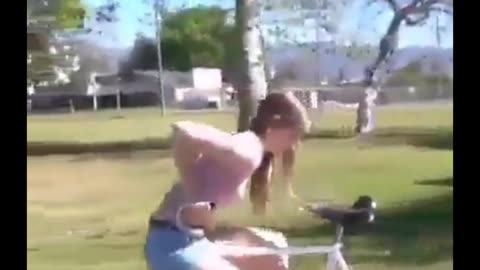 Pure Skill