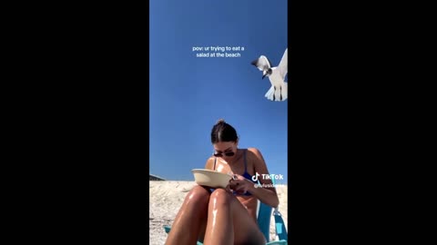 Funniest TikTok memes pt.1