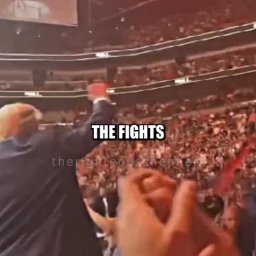 TRUMP Loved By UFC Fans🔥