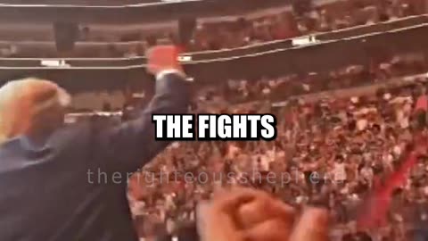 TRUMP Loved By UFC Fans🔥