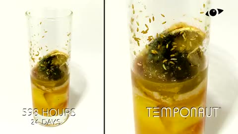 Timelapse Fruitcocktail