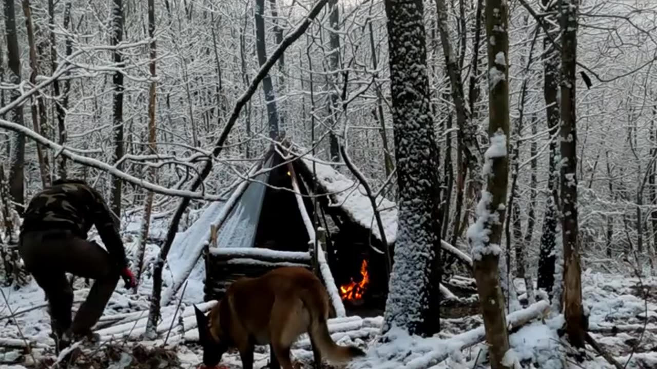 Winter Camping at Primitive Survival Shelter