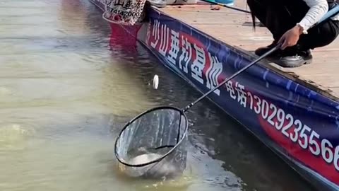 Best Asian fishing