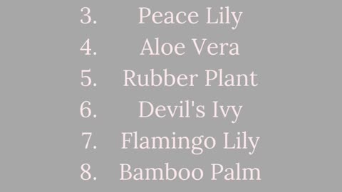 Healthy Daily Habits Hack #1: Ways to Naturally Purify The Air #houseplants #naturalliving