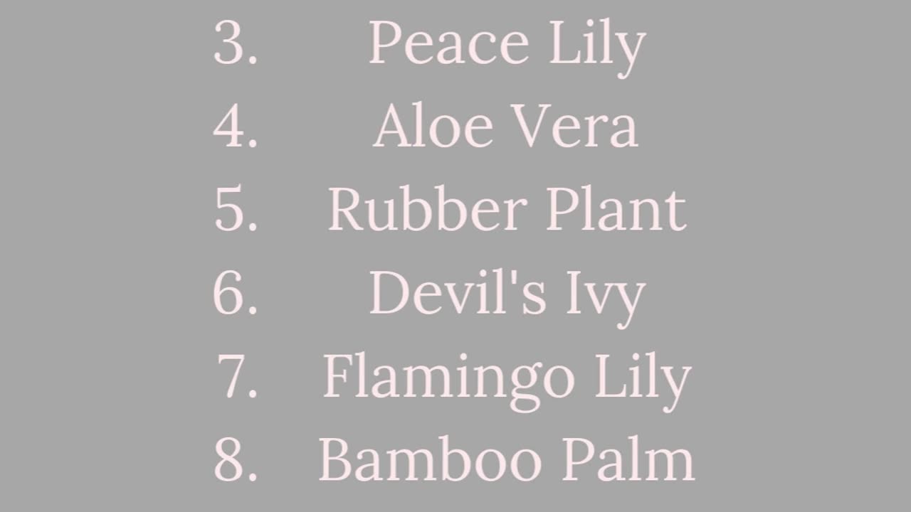 Healthy Daily Habits Hack #1: Ways to Naturally Purify The Air #houseplants #naturalliving