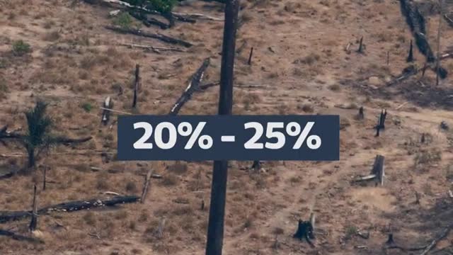 Could Brazil's election result save the rainforest? | ITV News