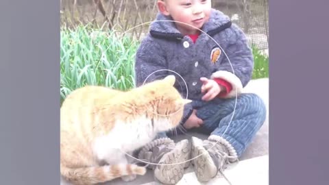 When your cat is the best babysitter Cute cats and little human