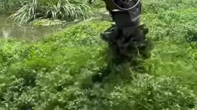 Removing weeds from water with an excavator
