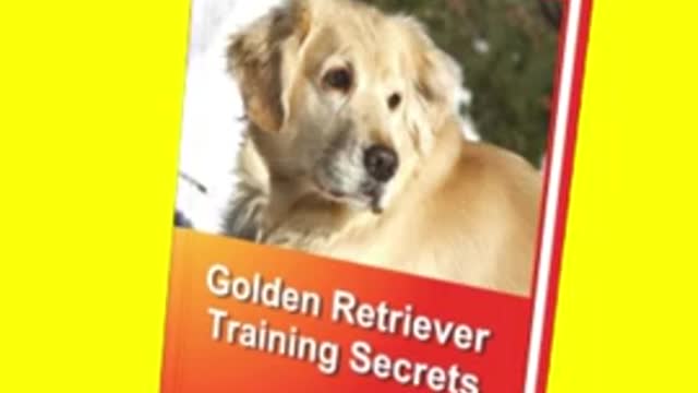 Funny cat videos funny dog video cat's meow meow meow ๐บ๐บ๐ป