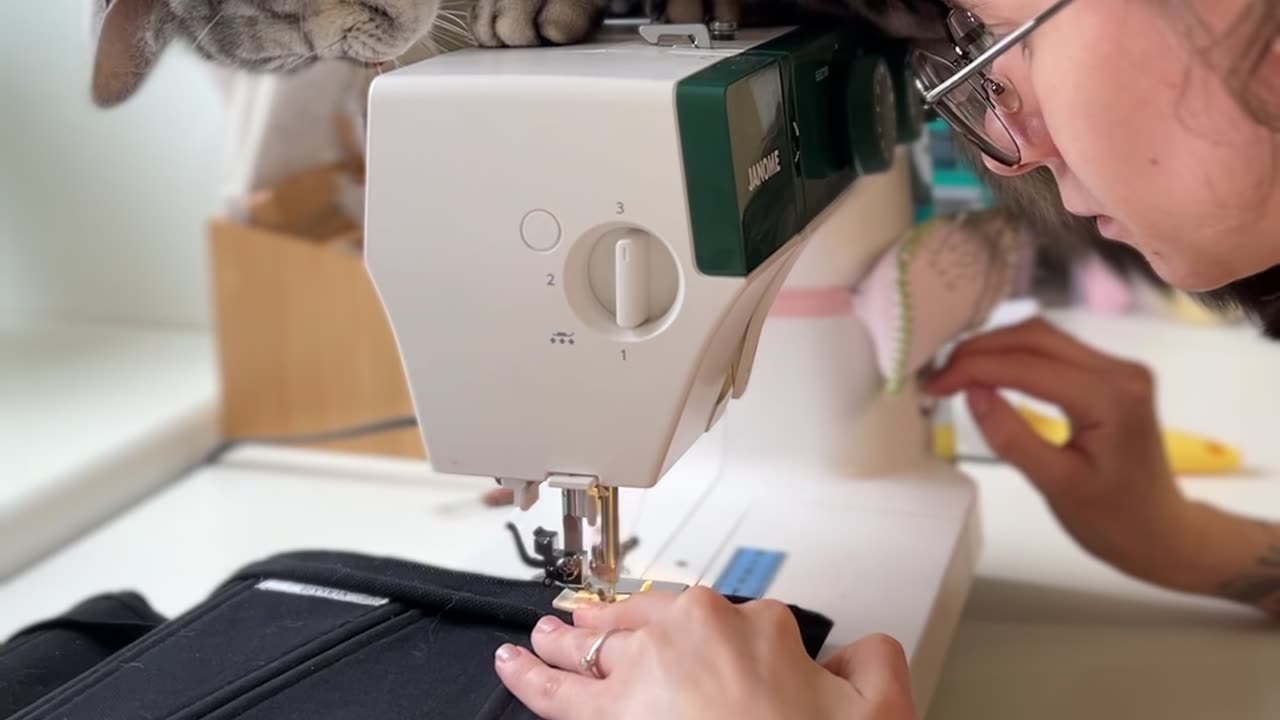 Cat Supervises Sewing