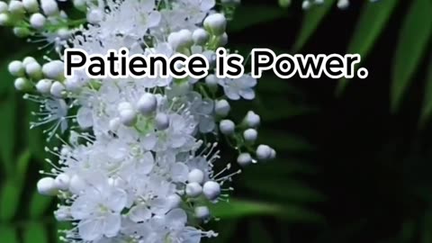 Patience is Power. #patience #power