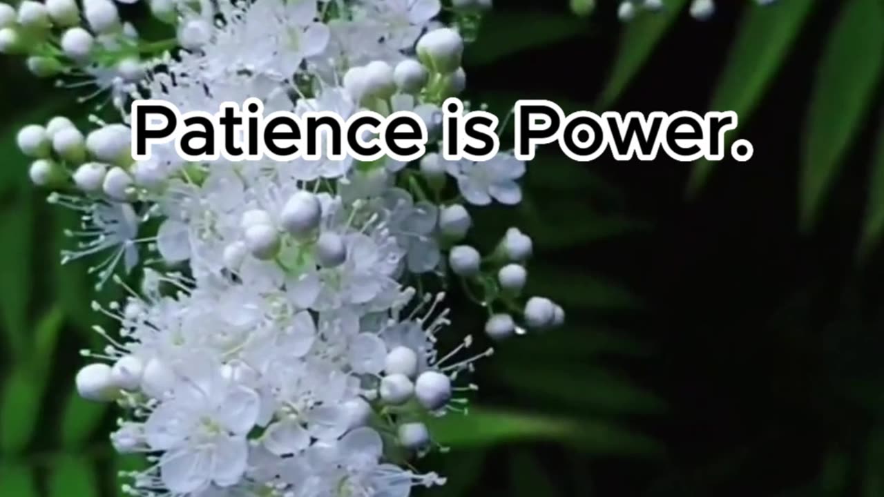 Patience is Power. #patience #power