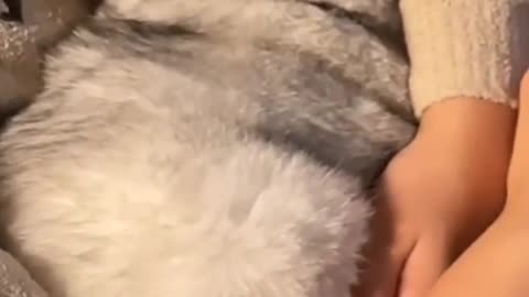 Holding the cat in the sun, the heart is warm!