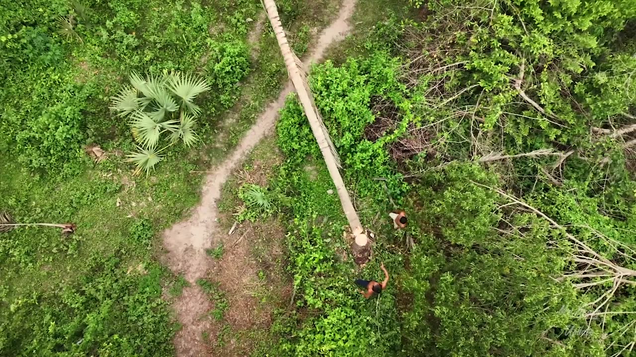 100 Days Building A Modern Underground Hut With A Grass Roof And A Swimming Pool