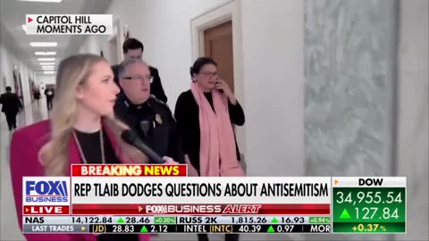 Congresswoman Tlaib Gets Called Out For Her Use Of 'From The River To The Sea'
