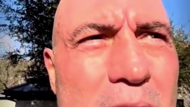 Joe Rogan Clarifies His Position On Delete Spotify Controversy, Neil Young & Misinformation