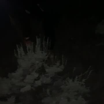 Black CK Thong Whaletail - Part 1