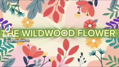 THE WILDWOOD FLOWER