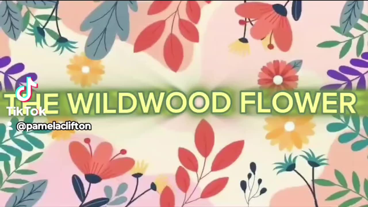 THE WILDWOOD FLOWER