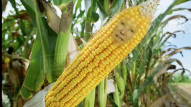 The Joe Biden Corn Meme! 🌽