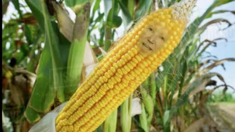The Joe Biden Corn Meme! 🌽