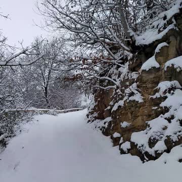 Зимушка зима