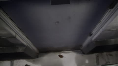 0921USCG00HT18Exterior_2021-01-06_17h00min02s043ms.mp4