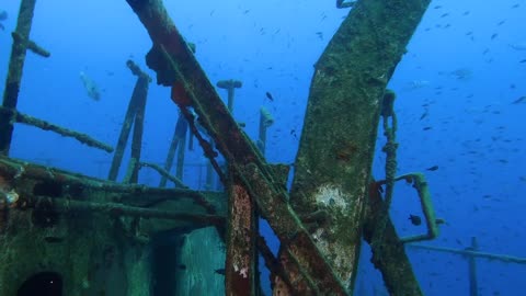 Incredible Underwater Life __ 4K Ultra High Resolution Picture Quality....