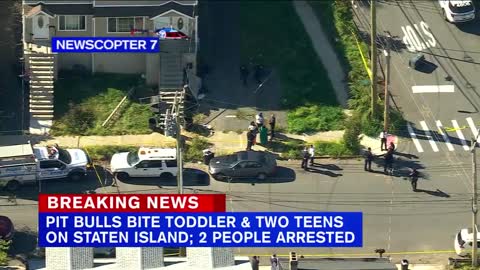 2 teens, toddler attacked by pit bulls on Staten Island