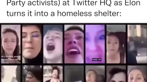 Live shot of Twitter staff (Democrat)