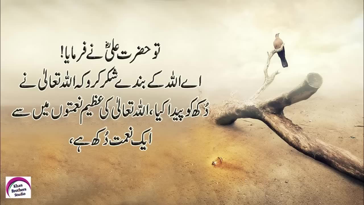 Best Collection Of Hazrat Ali Quotes Ri Shan Ali | Hazrat Ali (R.A) Heart Touching Quotes In Urdu