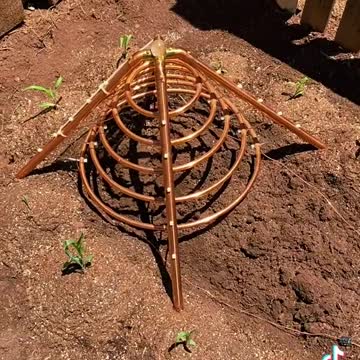 Electro and Cosmic Culture