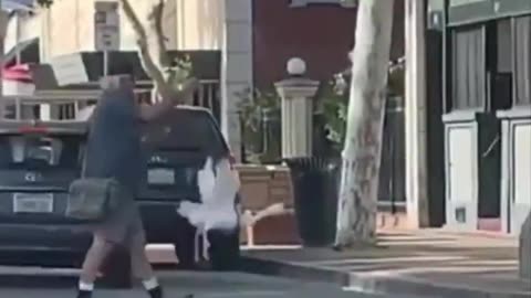 Just a man walking his goose...