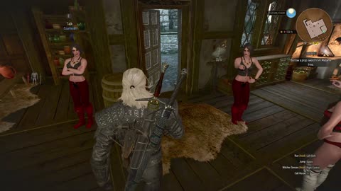 The Witcher 3 cabarat part 1