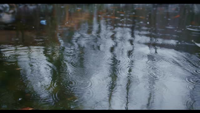 Reels 4K Rain Drops Ambience