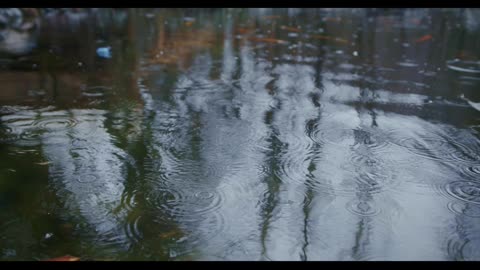 Reels 4K Rain Drops Ambience