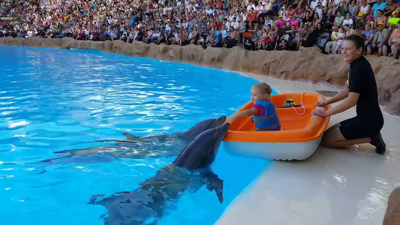 Little cuty girl vs dolphin