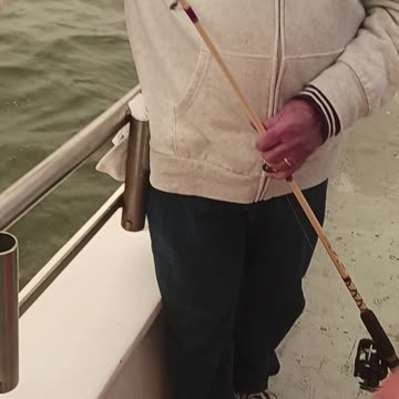 Dogfish fishing