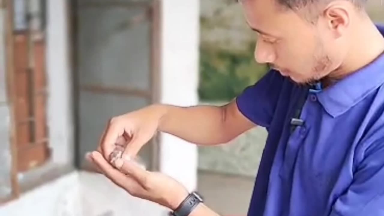 Saving a Sparrow