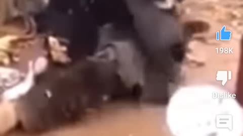 Homeless man exposes the government
