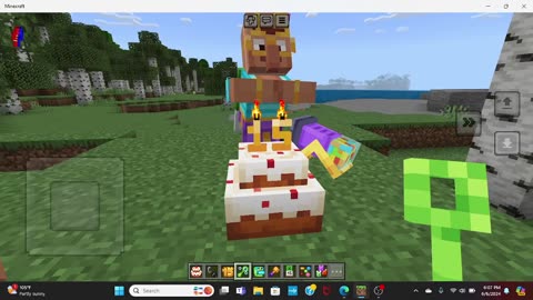 playing the 15 year party supplies in minecraft