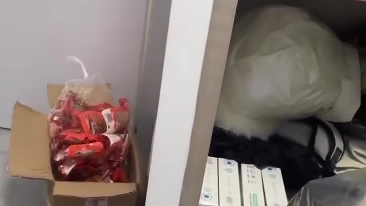 Mission failed. 😁😂