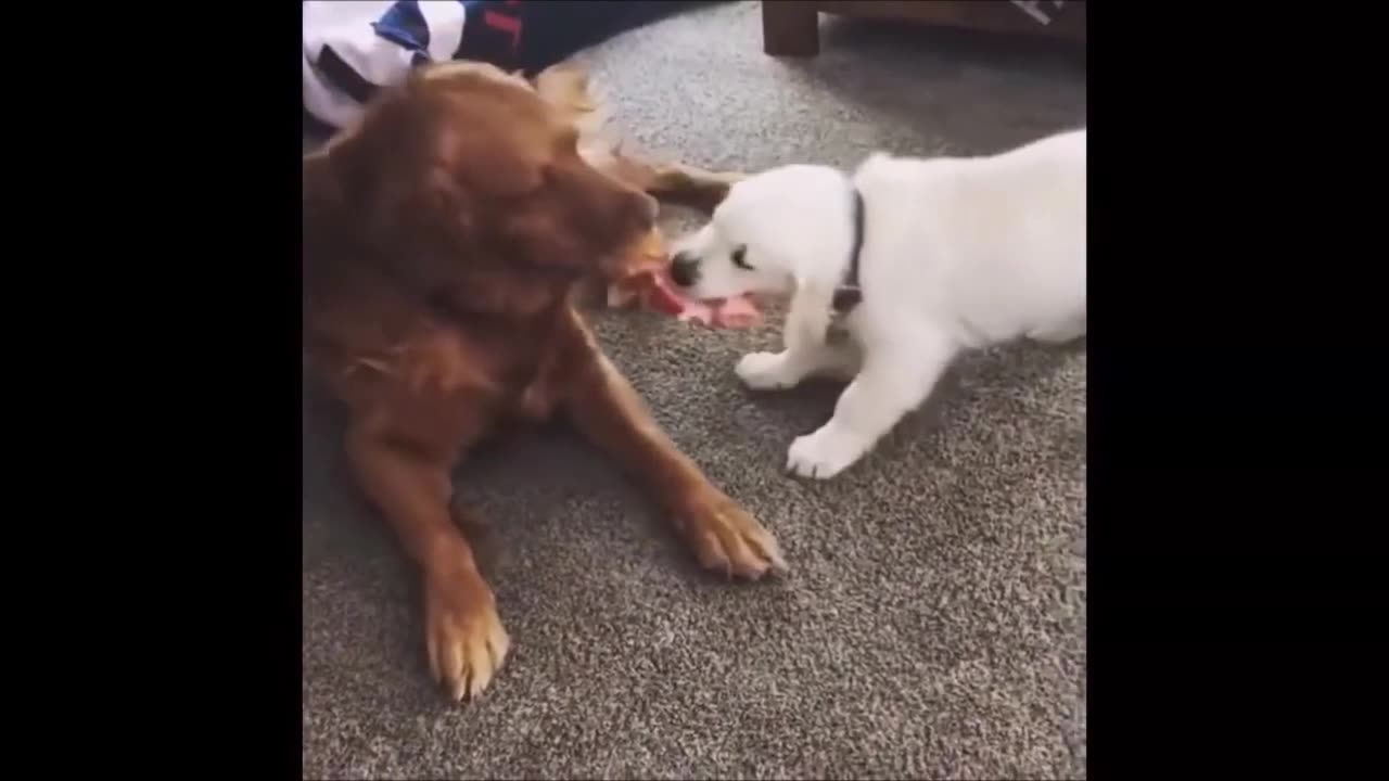 Episode 24 - Cannot stop laughing