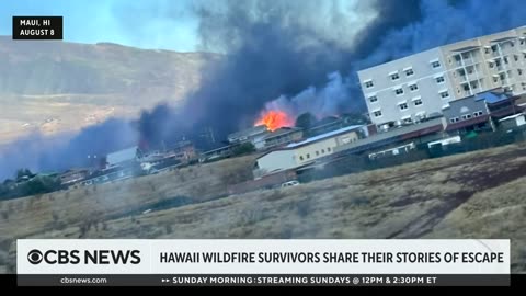 Hawaii wildfire survivor escaped with her kids, saw mom's apartment burn- -I was so scared-