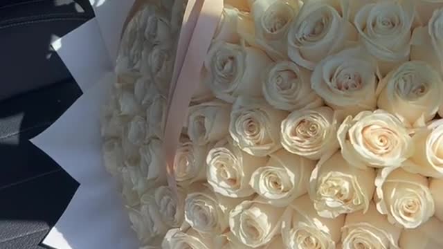 120 white roses 🤍✨