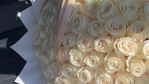 120 white roses 🤍✨