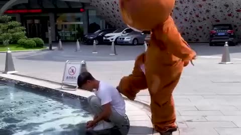 Funny Video l Funny Bear