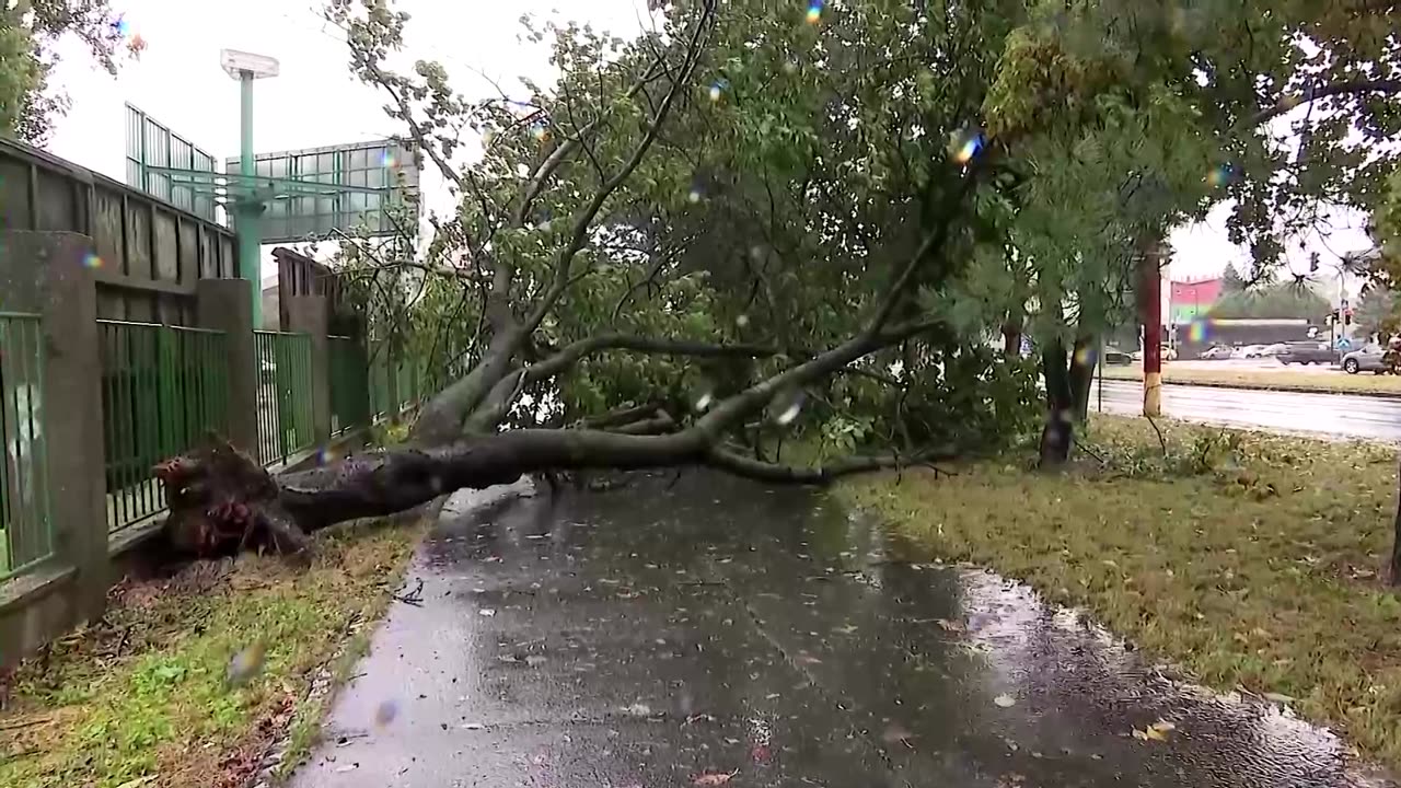 Slovakia's capital suffers flood damage from the Danube